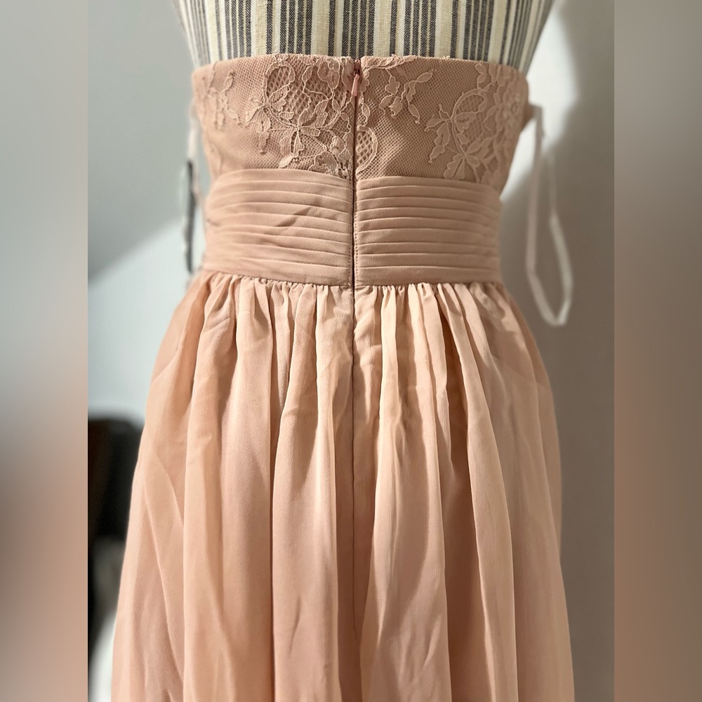 Sonsiya Blush Pink Lace Chiffon Maxi Dress Size 12 Formal Gown NWT - Picture 11 of 12